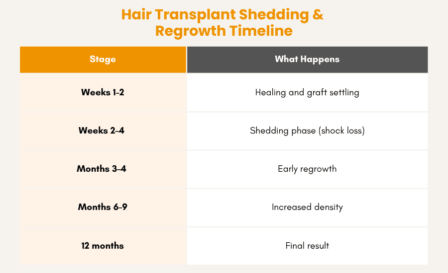hair transplant shedding & regrowth timeline